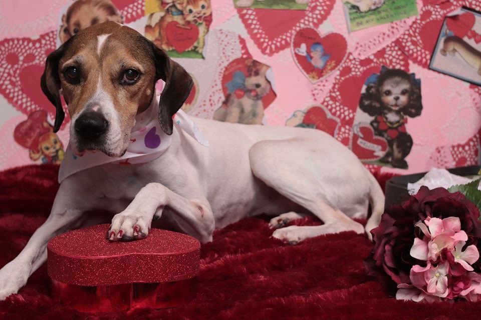 Happy Valentine’s Day!