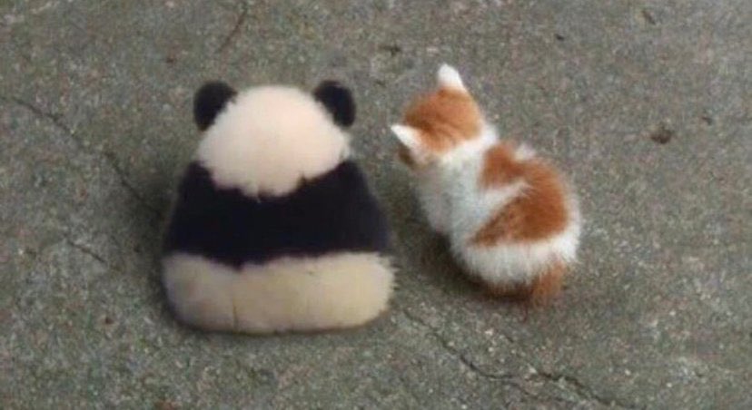 𝑹𝑶𝑩𝑩 (@drxwcigxrettes) on Twitter photo 