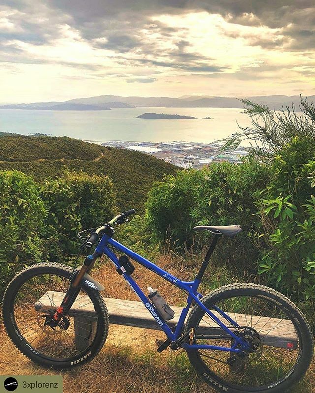 StantonBikes's tweet photo. @3xplorenz Switch9er looking great out in the wild!

#Repost @3xplorenz
• • • • •
Shot up to the #wainuiomatatrailproject last night after a day of CBD meetings to check out a few of their trails I’ve always heard about and never ridden. #superpl… https://t.co/GLWXQnZJPm https://t.co/B4twnzbOAB