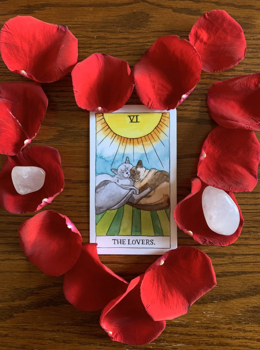 BoozyTarot's tweet photo. What did one kitty say to the other on Valentine’s Day? You’re purr-fect. 💖 https://t.co/WEvsv2fMZk