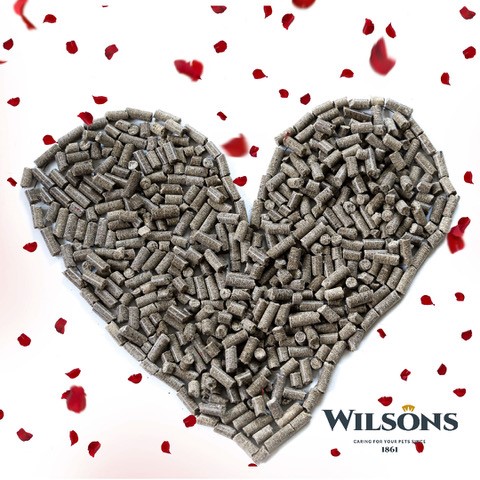 Happy #ValentinesDay! We don't know about you, but we have some pretty exciting plans of snuggles with our dogs tonight! #idratherbewithmydog

Thanks to the talented Heather from <a href="/Lushlabs/">🧡Lushlabs🧡</a> for this gorgeous pic #fortheloveofcoldpressed ♥️