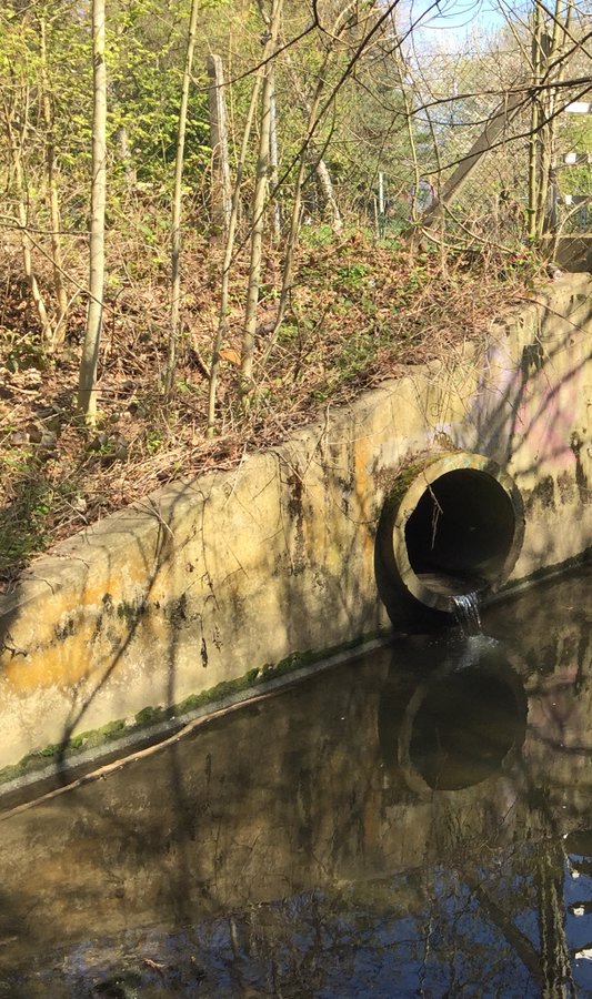 CVP_CraneValley's tweet image. In April 'Citizen Crane' will run a second 'Outfall Safari' in the River Crane Catchment to check surface water outfalls for any signs of pollution. You can volunteer to help. For info contact: phoebe.shawstewart@zsl.org
@OfficialZSL @thameswater @FriendsRivCrane @frogenv