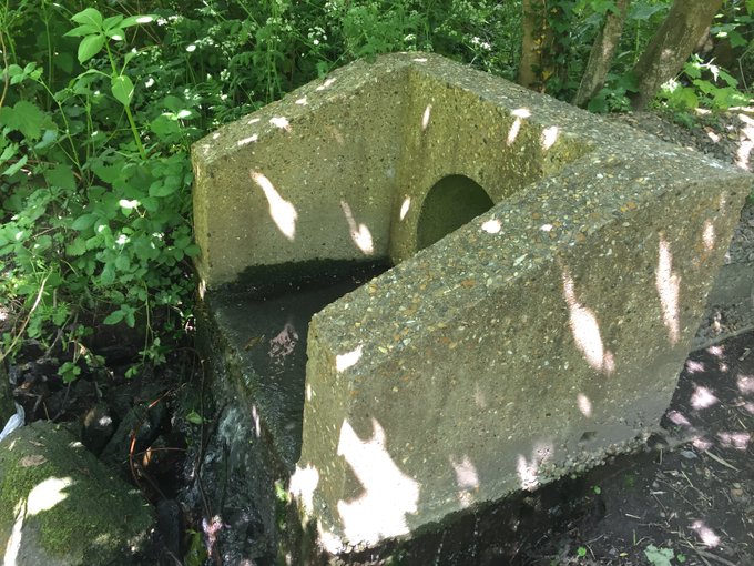 CVP_CraneValley's tweet image. In April 'Citizen Crane' will run a second 'Outfall Safari' in the River Crane Catchment to check surface water outfalls for any signs of pollution. You can volunteer to help. For info contact: phoebe.shawstewart@zsl.org
@OfficialZSL @thameswater @FriendsRivCrane @frogenv