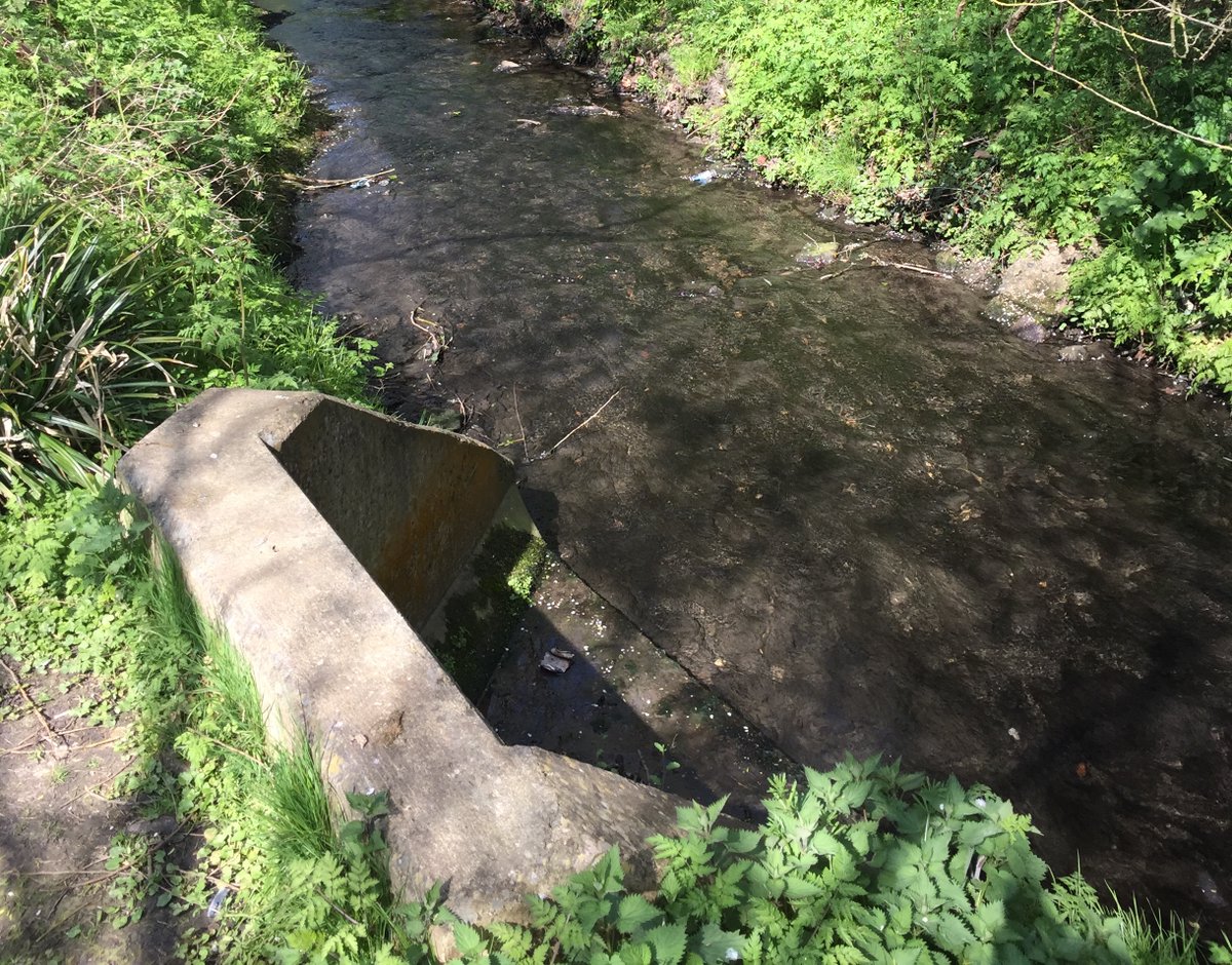 CVP_CraneValley's tweet image. In April 'Citizen Crane' will run a second 'Outfall Safari' in the River Crane Catchment to check surface water outfalls for any signs of pollution. You can volunteer to help. For info contact: phoebe.shawstewart@zsl.org
@OfficialZSL @thameswater @FriendsRivCrane @frogenv