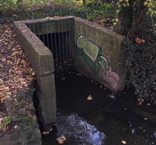 CVP_CraneValley's tweet image. In April 'Citizen Crane' will run a second 'Outfall Safari' in the River Crane Catchment to check surface water outfalls for any signs of pollution. You can volunteer to help. For info contact: phoebe.shawstewart@zsl.org
@OfficialZSL @thameswater @FriendsRivCrane @frogenv