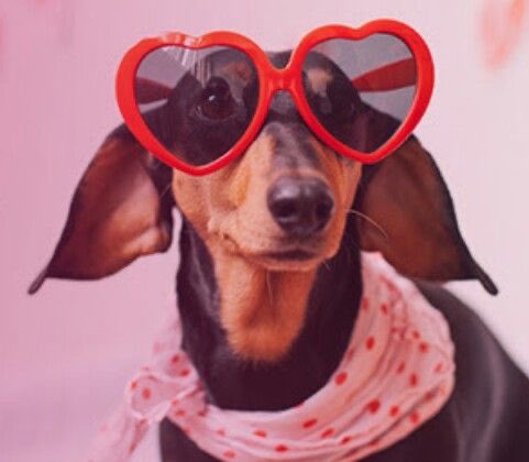 RabinOpticians's tweet image. Happy Valentine’s Day ❤️ spreading the love 🥰