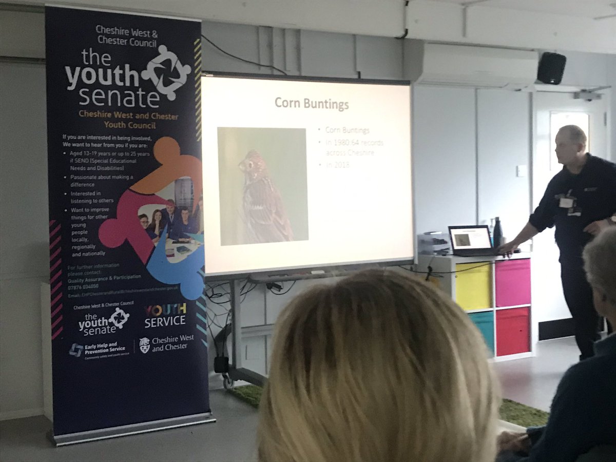 Breakout session number 2 from our young people from the youth senate #greenertogether 💚💚💚