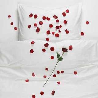 Happy #ValentinesDay! Enjoy this romantic occasion with a one of a kind experience at the Novotel Toronto North York ♥️ #NovotelTO #JoinUsToday