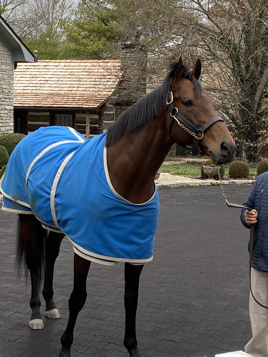 Alan Ogg tweet media