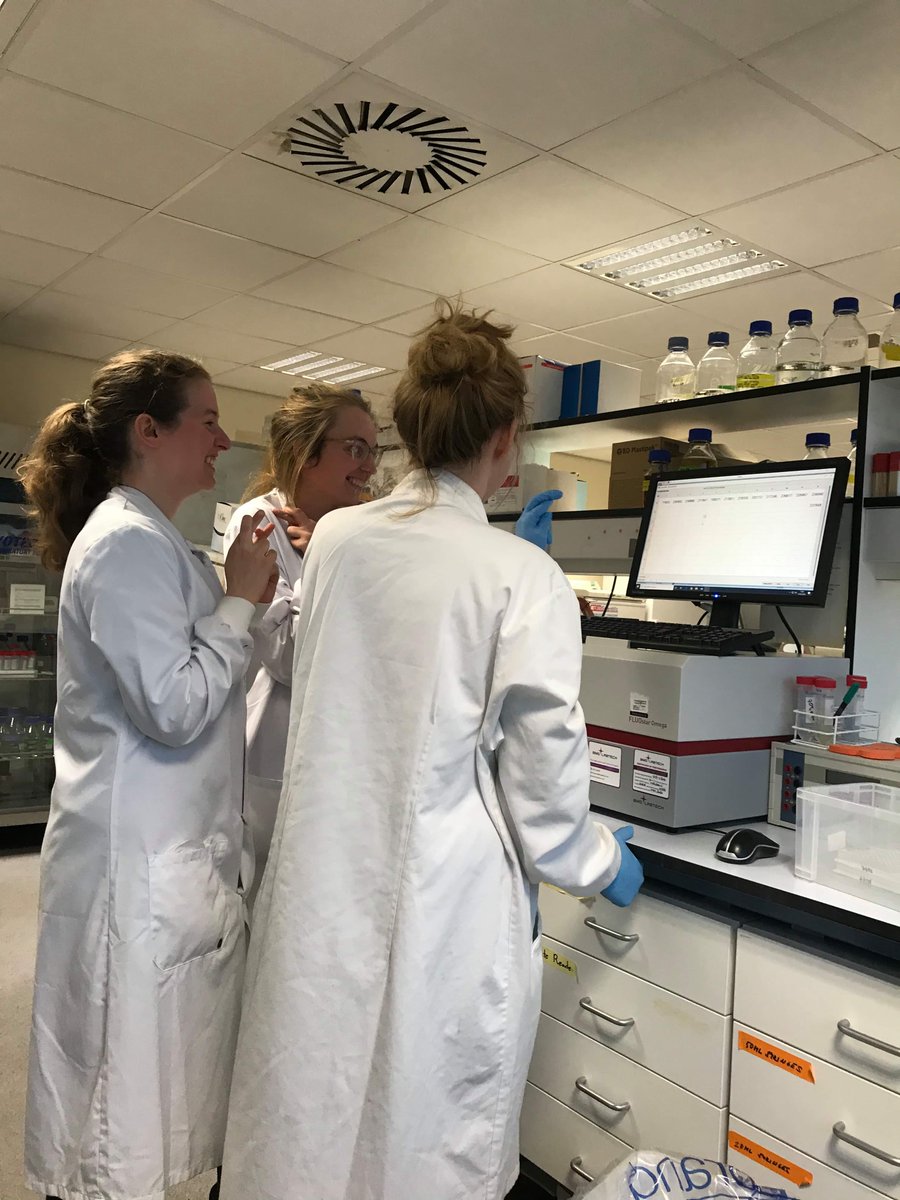 Eureka moment! New hit from #high-throughput microscopy screen confirmed to target #mtDNA (#kinetoplast #kDNA). <a href="/MMiskinyte/">Migla Miskinyte</a> @aschnaufer amazing news!