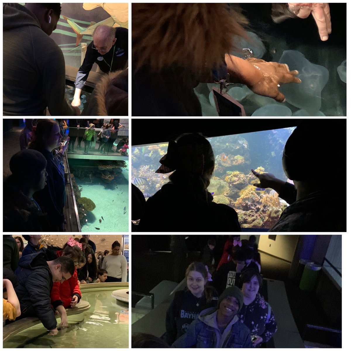 WrightsonCHS's tweet photo. We had a great time navigating @NatlAquarium today. We got to use all of our senses to learn as we explored aquatic life. After a class vote, the 🐬 exhibit was the over all favorite. Great trip!! #FALSfun @ChesapeakeHS @MTCummins https://t.co/EZCSXpdlV4