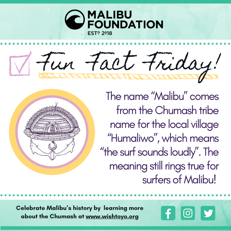 Malibu Foundation tweet media