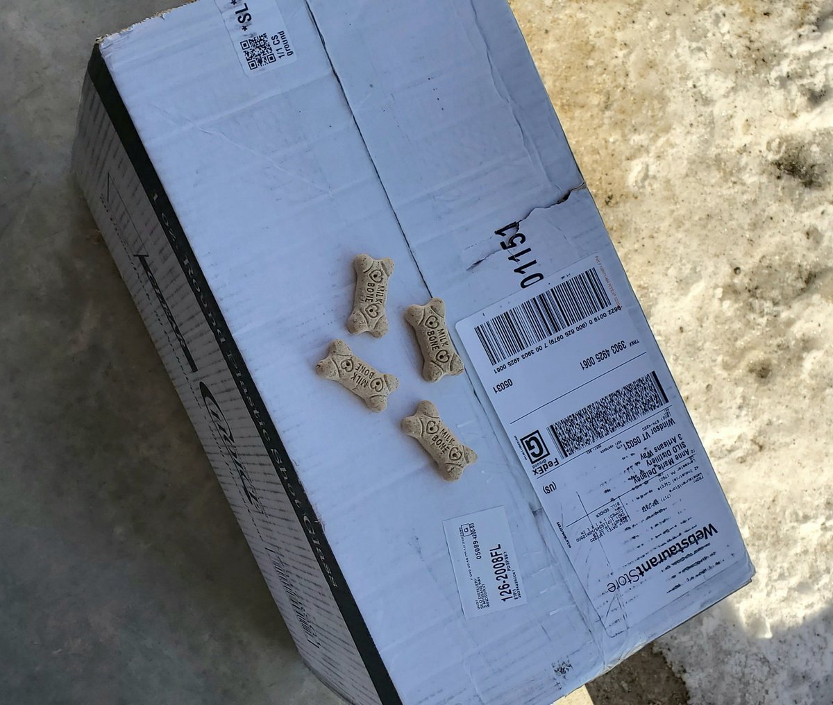 We have the very best #FedEx guy for <a href="/SILOdistillery/">SILO Distillery</a>! Even the delivery  drivers love our distillery dogs.