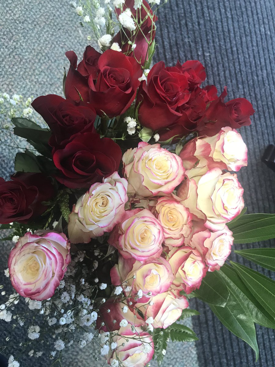 just_hits's tweet photo. Here at Just Hits we take care of our moms 😉
Happy Valentine’s Day! 💙
#valentinesday #showsomelove #hittinglessons #battinglessons #pitchinglessons #baseballlessons #softballlessons #baseballmoms #softballmoms #justhits https://t.co/MftMbuzjDm