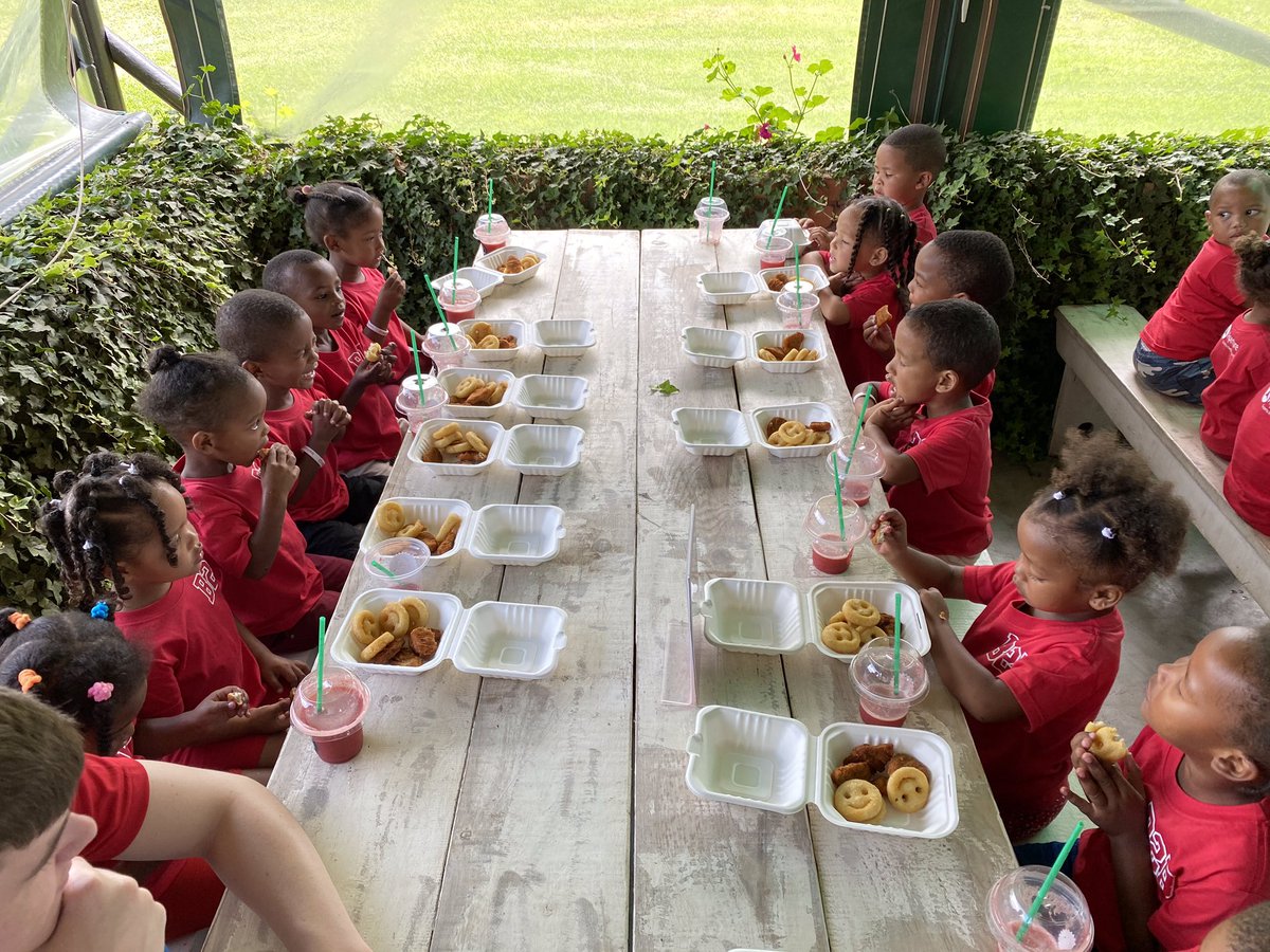 🇿🇦⭐️ This morning the team headed out with the Golden Valley Creche kids to Redberry farm for a day of fun 🤩 unbelievable time had by all as you can see by the pics 💙 #B2B <a href="/Aperture_IVA/">Aperture</a> <a href="/Rcitybelfast/">Rcity Youth CIC</a> <a href="/Waitso/">Alan Waite</a> <a href="/niexecutive/">NI Executive</a> <a href="/socentni/">Social Enterprise NI</a> <a href="/qubgradschool/">The Graduate School</a>