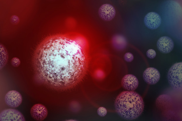 New outbreak in Brazil currently known as the Yara Virus. Scientists say it contains genes that have never been seen before. No reports have been encountered for in the U.S.
#CHS301marketing