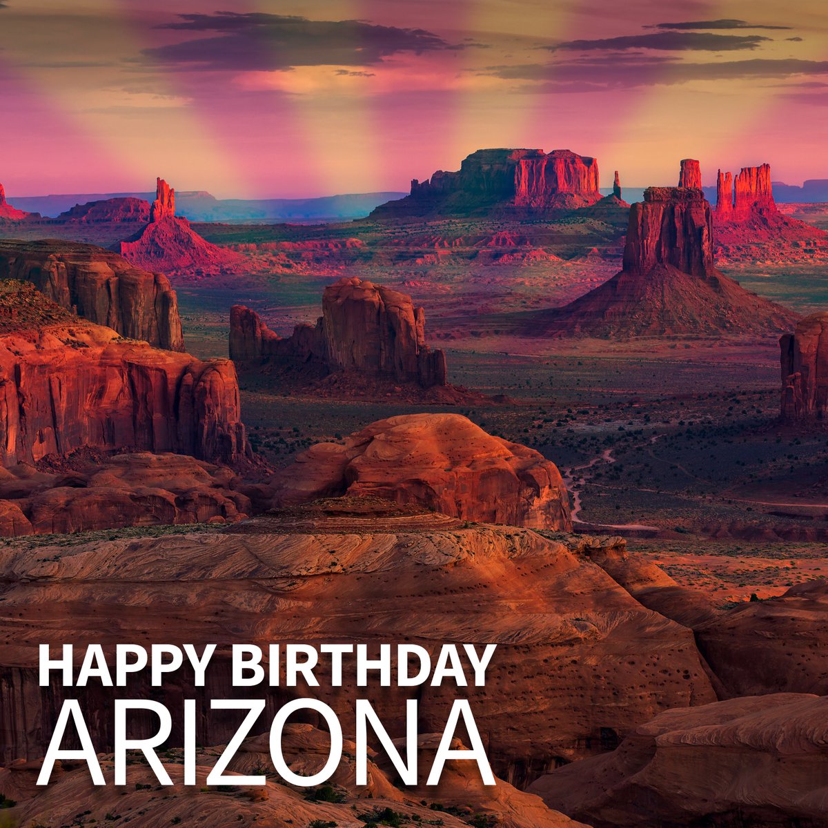 Pima Federal CU tweet media