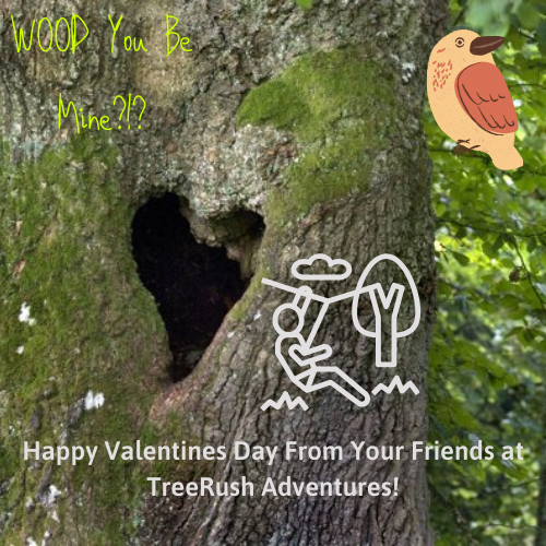HAPPY VALENTINES DAY TREE FANS! #ValentinesDay2020 #TGIF #zipline #yayweekend #treerush