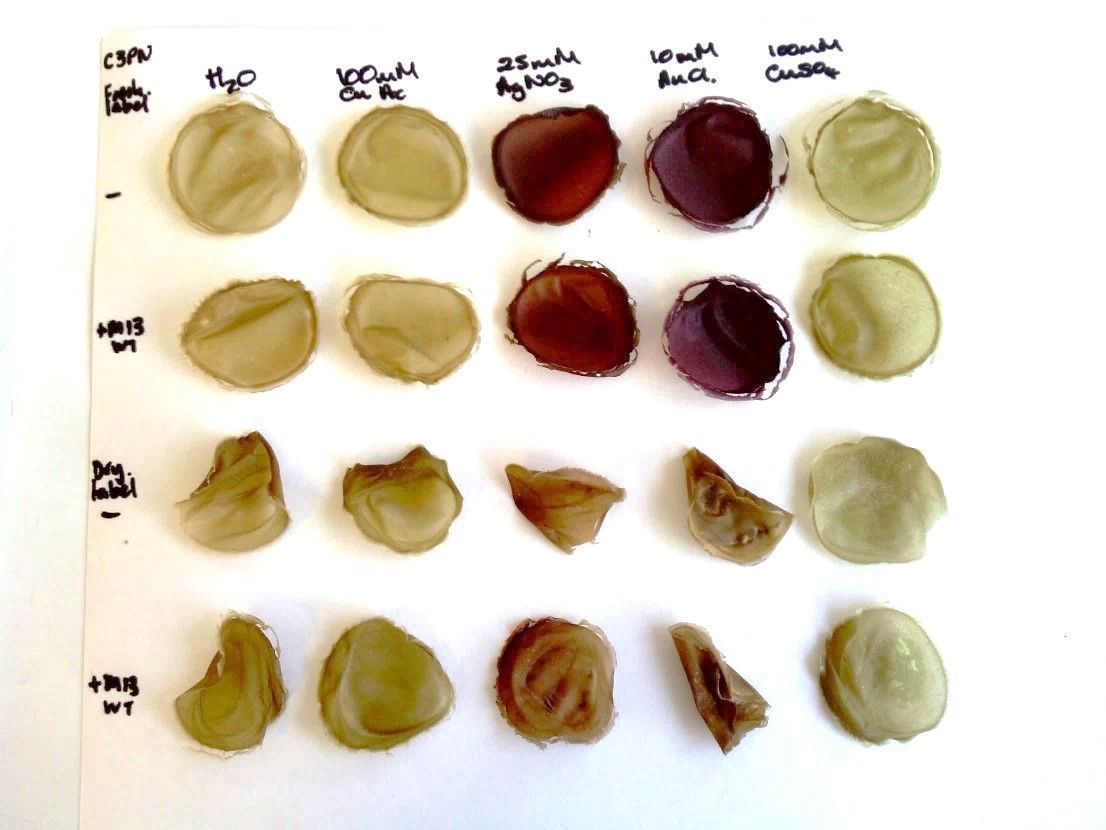 Take a look at what @ibioic and Cellucomp <a href="/withCurran/">CelluComp Ltd</a> have been looking into...these colourful discs are prototype antibacterial materials  #biotech #cleantech