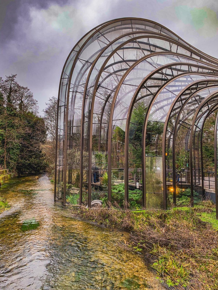 LaurenVauxy's tweet image. Lovely afternoon, soaking up the botanicals @homeofbombay #BombayDistillery
