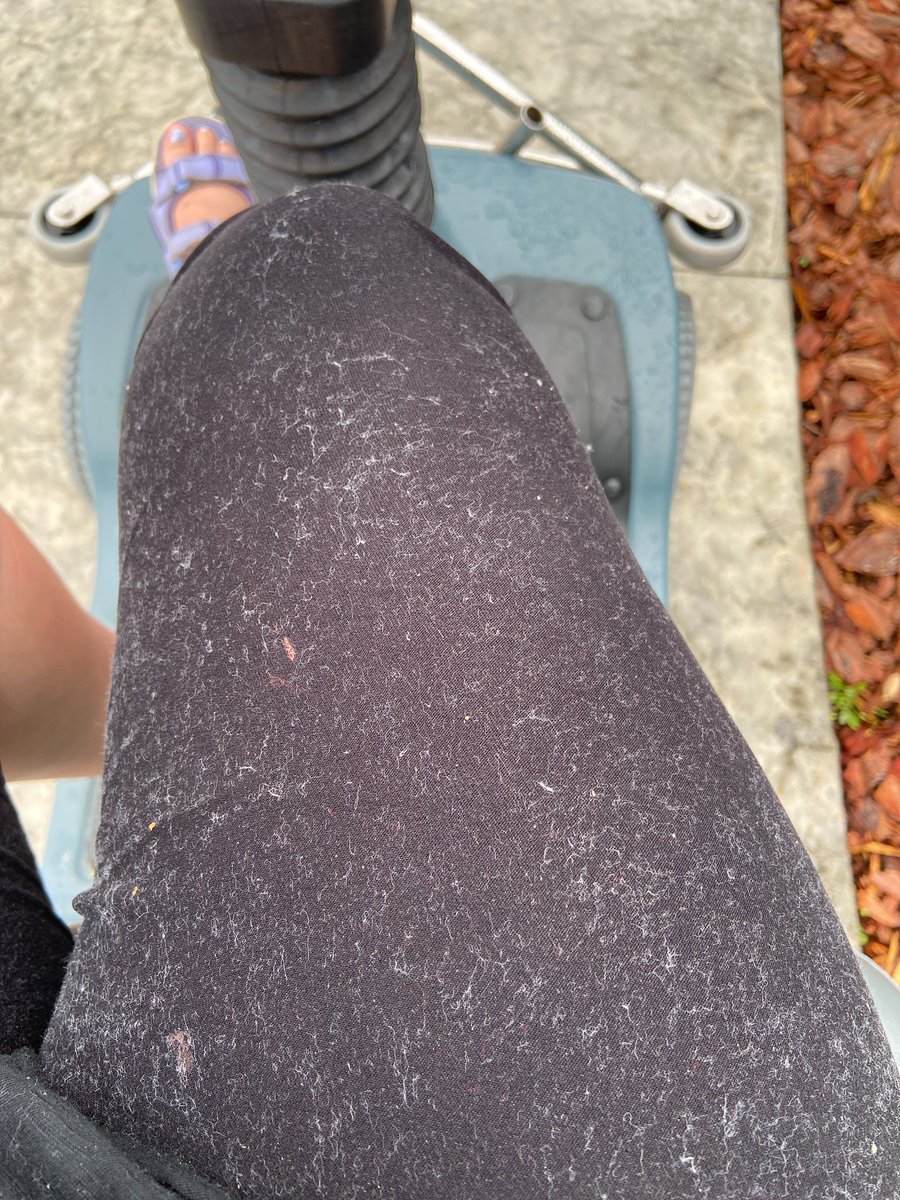 SadieandCompany's tweet image. New grey sweatshirt and black tights was a Bad choice!!  Also @instagram blocked me from liking, commenting or posting due to “over use” after less than 10 reactions/posts today. What’s up with that? #overreaction #cantpost #yikes #oops