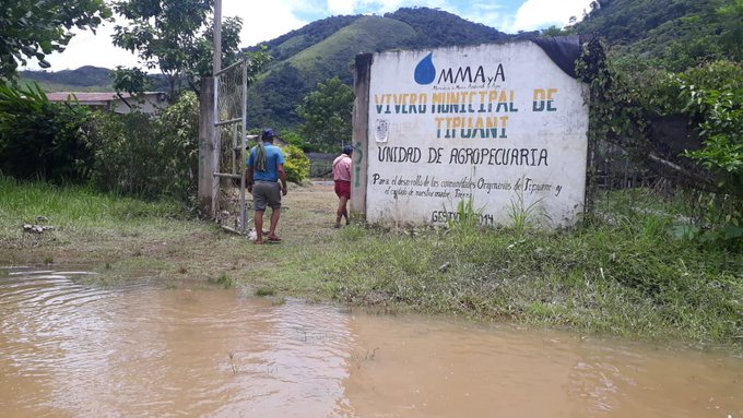 tipuani Últimas noticias y actualidad en vivo Scoopnest
