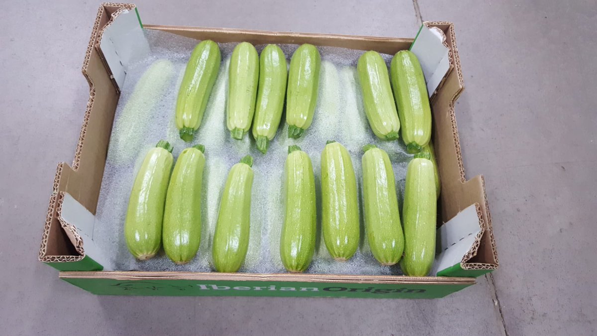 IberianOrigin's tweet photo. Mini white zucchini for sale #IberianOrigin #Fresh #Vegetables #Courgette #Zucchini #WhiteZucchini #MiniWhiteZucchini #Spain #Export https://t.co/fk7EB8vHyd