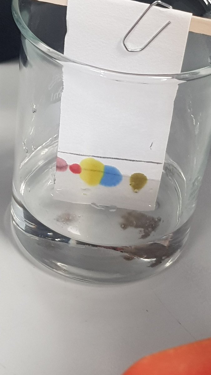 Today Y11 revisited one of their RPAs for Chemistry....mastering the skill of calculating Rf Values <a href="/BDBSchool/">Bishop David Brown </a> #ProudOfBDB
