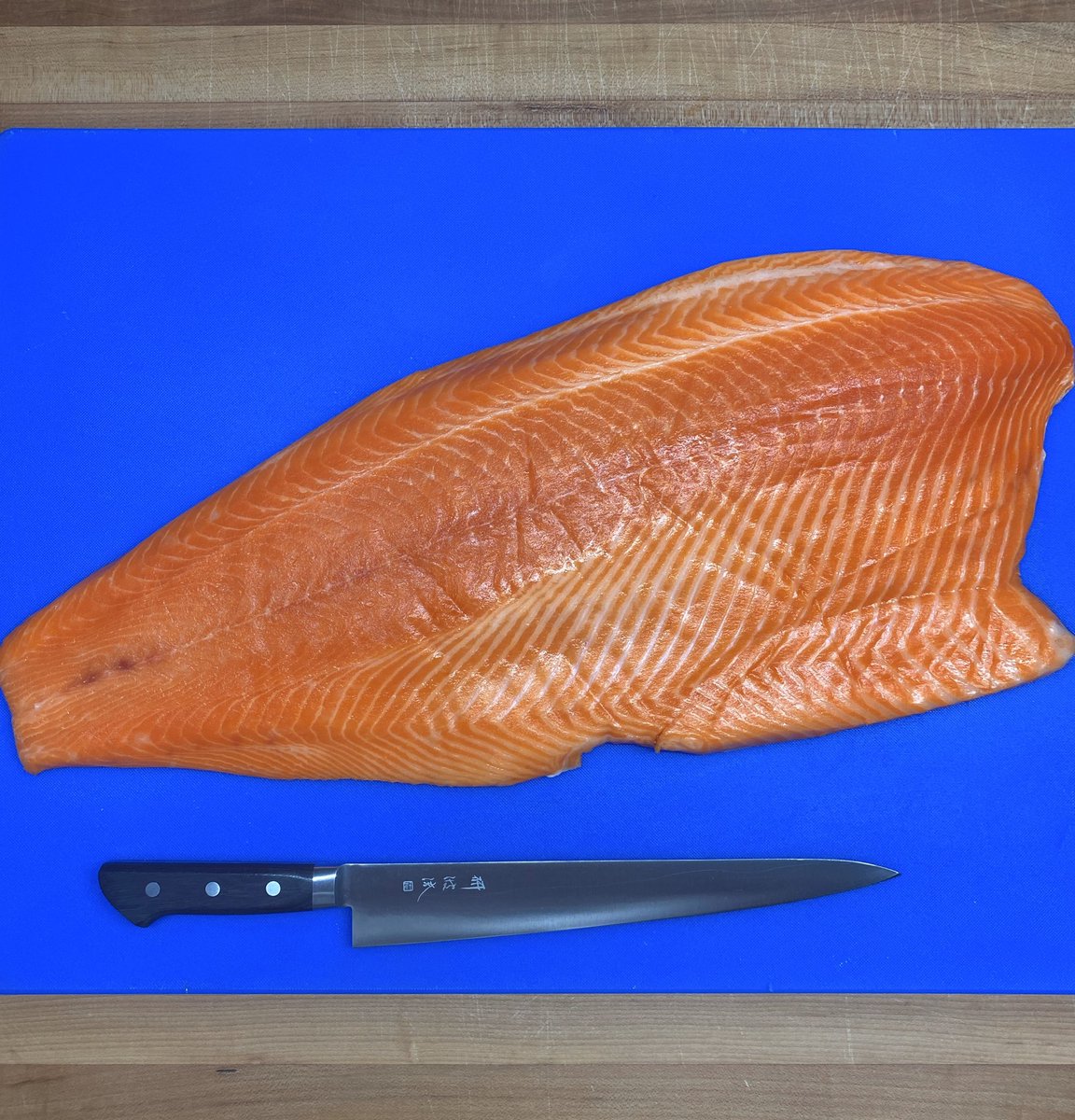 justrolldup's tweet image. Never have we ever seen a piece of salmon so beautiful 😍⁣
⁣
Thanks to our friends @EuclidFishCo for always delivering  @OraKingUSA 🙏🏻 ⁣
⁣
Stay posted for more results!⁣
⁣
#rollwithus #newzealand #marlboroughsounds #orakingsalmon #sustainable #kingsalmon #fatfish