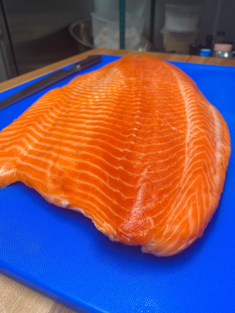 justrolldup's tweet image. Never have we ever seen a piece of salmon so beautiful 😍⁣
⁣
Thanks to our friends @EuclidFishCo for always delivering  @OraKingUSA 🙏🏻 ⁣
⁣
Stay posted for more results!⁣
⁣
#rollwithus #newzealand #marlboroughsounds #orakingsalmon #sustainable #kingsalmon #fatfish
