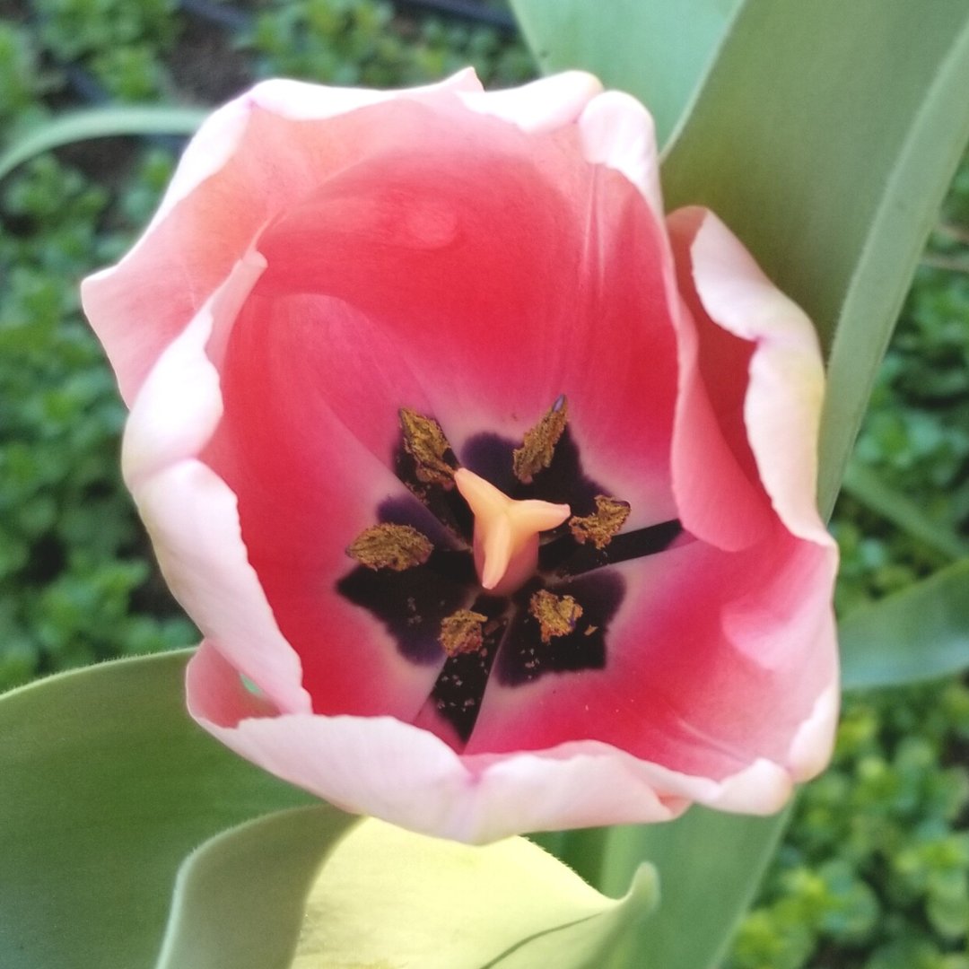 Redefining Divorce tweet media