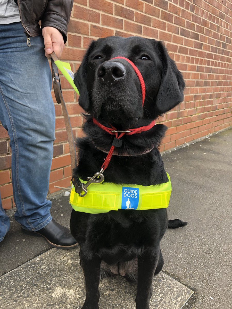 Rosie Harvey tweet media