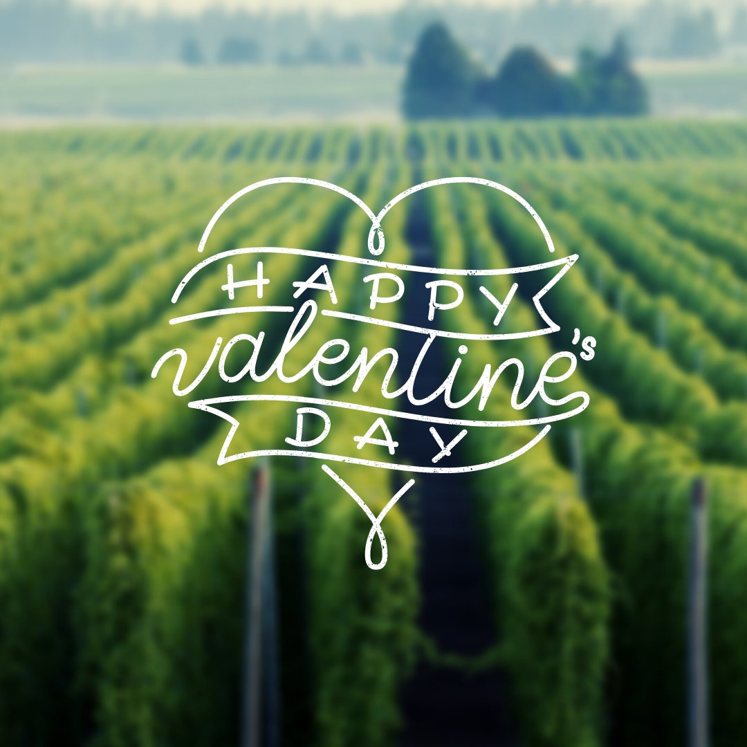 Happy 💚 day! ⁠
⁠
#familyfarm #valentinesday #colemanag #colemanhops #willamettevalley #oregonag #agriculture #hops #farming
