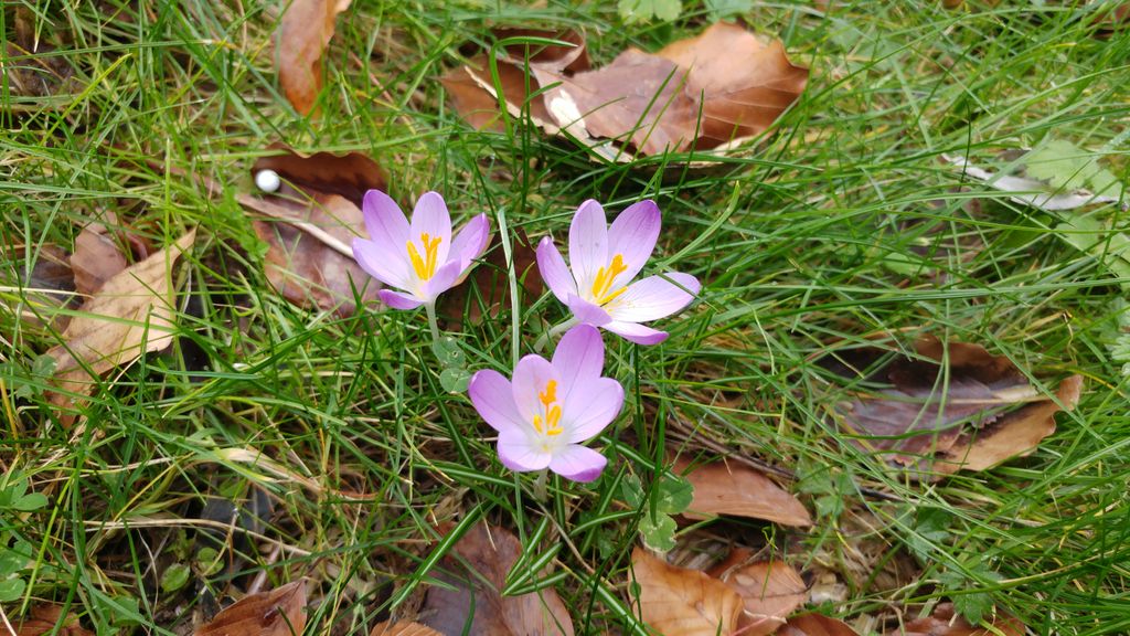 Happy Valentine's Day! #DorsetTeam #ValentinesDay #ValentinesDay #happyvalentinesday