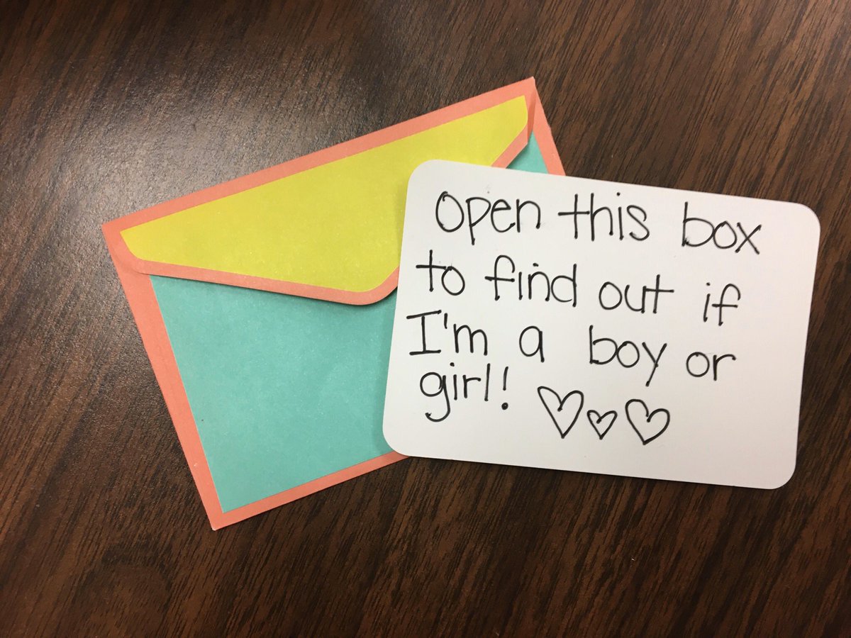 Melissa Stewart tweet media