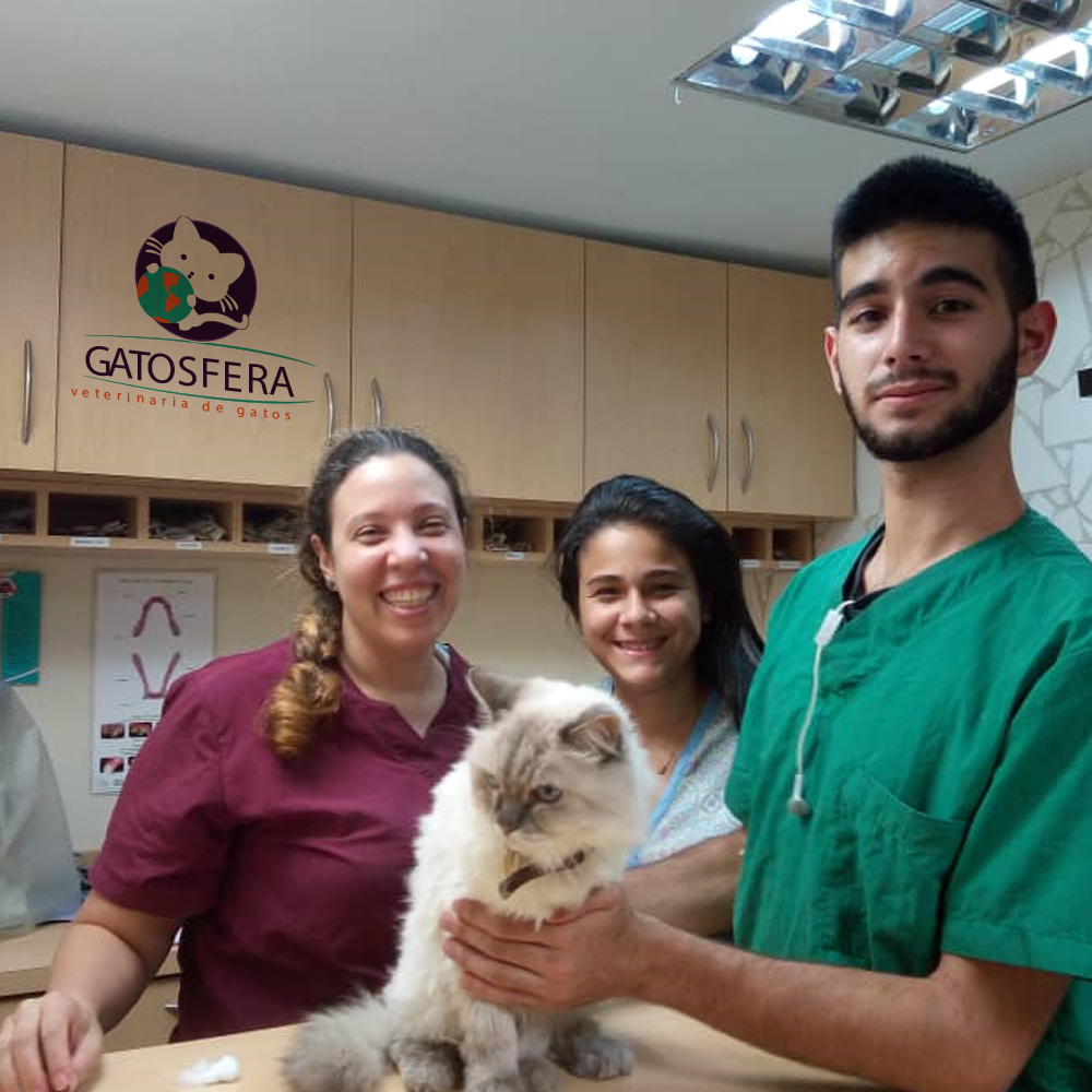 GATOSFERA tweet media