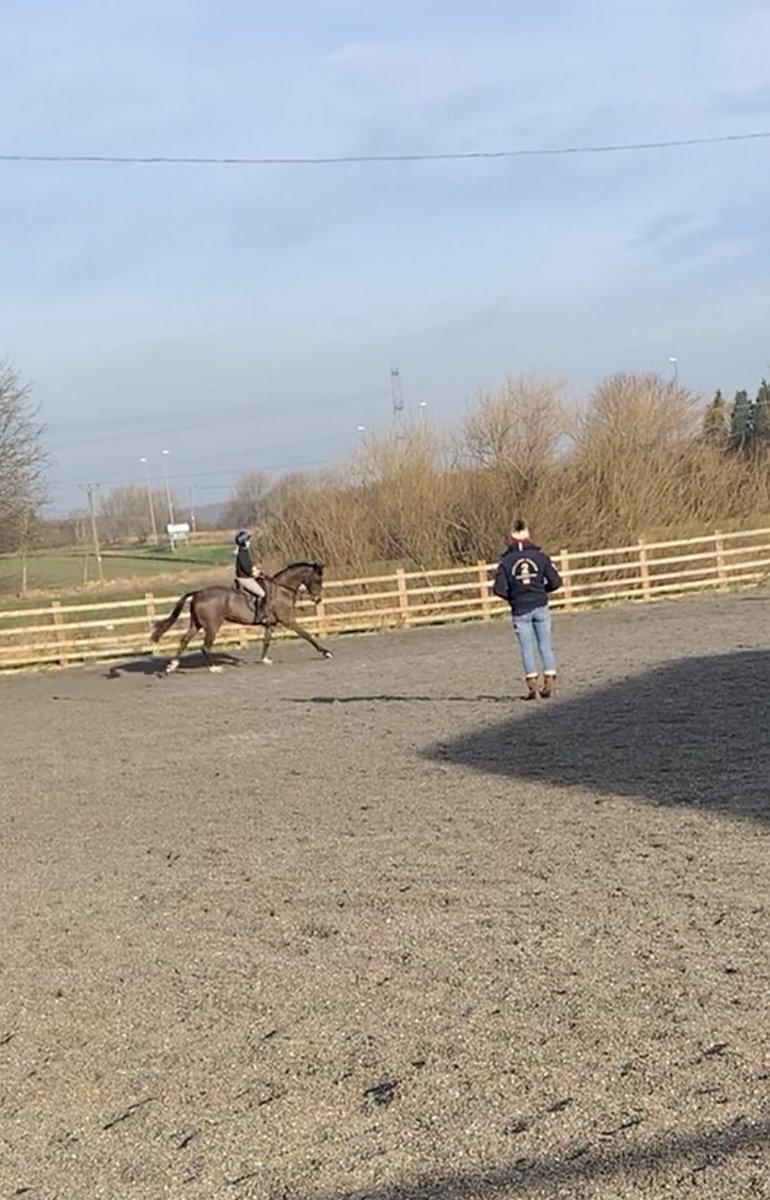 Super lesson <a href="/Linzidressage/">Lindsay Hancock</a> this morning! Getting in the practice <a href="/BEventing/">British Eventing</a> starting soon 🦄 #sirpasal #eventing #training