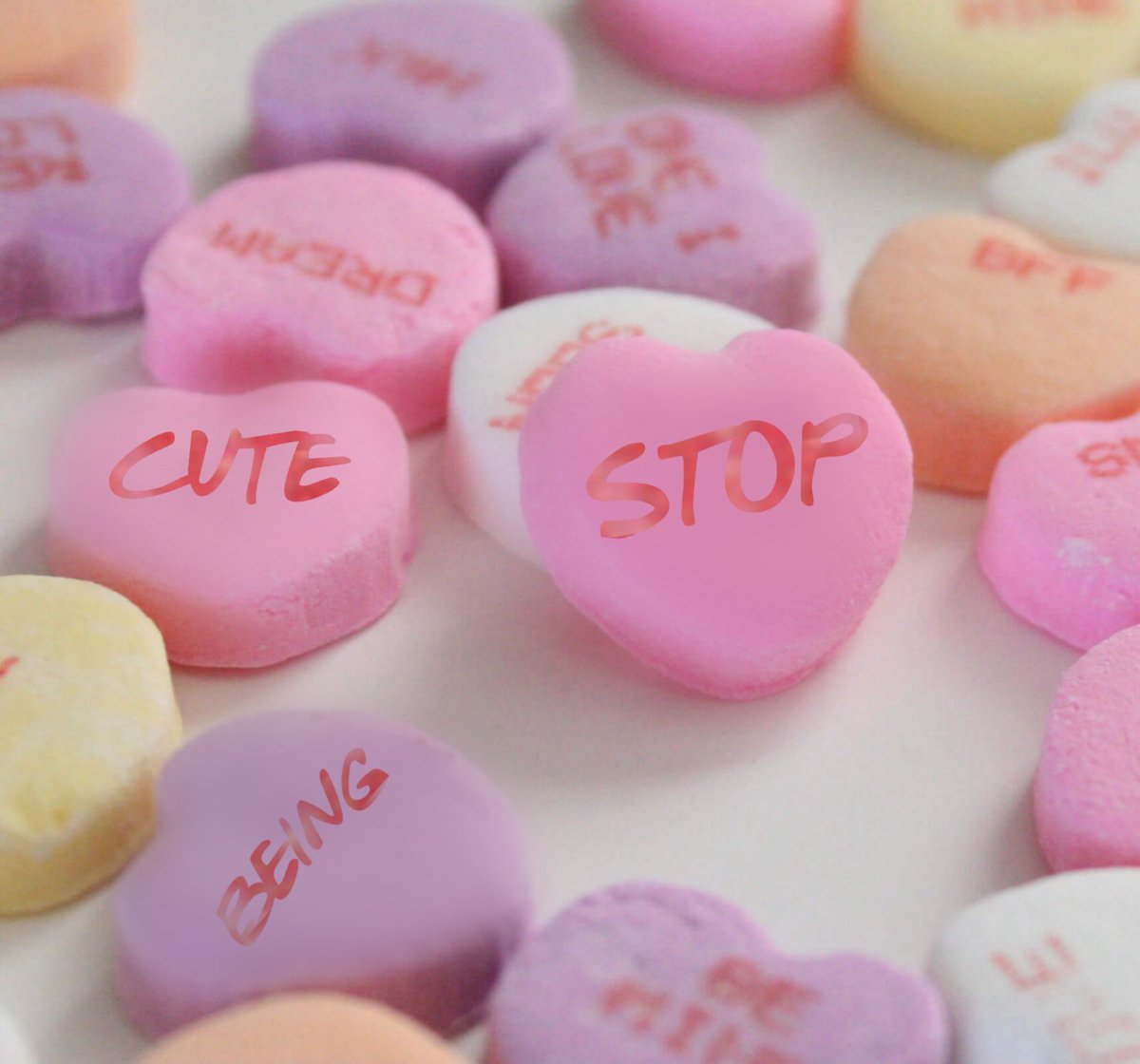 hanjiologist's tweet photo. "stop being cute"

➸ 10.6k+ words
➸ #MDZS, #sangcheng
➸ for #scvday and my social media au ("then let's be disasters")
➸ jc makes his first attempt to sweep nhs off his feet
➸ fluff, self-indulgence, PINING
➸ [RT = 💖]
➸ https://t.co/s0eWXxlqL3 https://t.co/tBpspE6Yq6