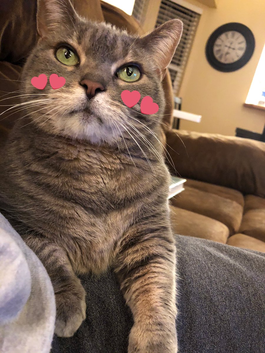 tinybroccoli's tweet image. will yu be mi valn tin ? ?