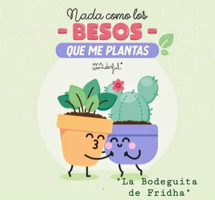 BodeguitaFridha's tweet photo. #FelizDiaDelAmorYAmistad 💗👩‍❤️‍💋‍👨🌹👫

Les deseamos un inolvidable día, a lado de su persona favorita.

@BodeguitaFridha 🌻 https://t.co/JNS4kUXNBt