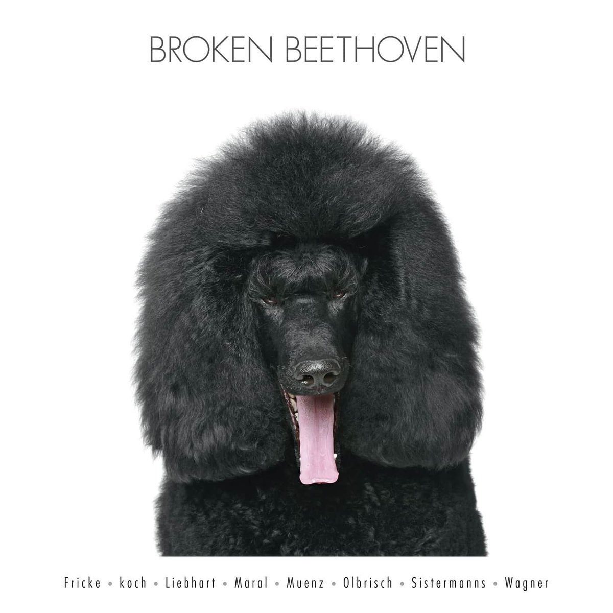 Beethoven'ın 250. yaşgünü dolayısıyla Avrupa'da Beethoven Yılı olarak kutlanan 2020'ye Müzik Hayvanı olarak biz de dahil  olduk. Stefan Fricke küratörlüğünde Alman bestecilerden oluşan bu toplama albüm LP olarak sınırlı sayıda yakında sizlerle buluşacak.