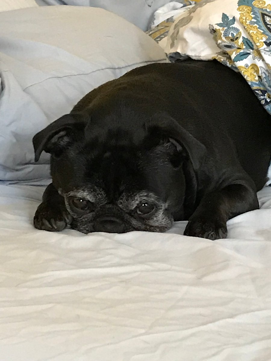 Wishing everyone out there in @AMSRockets Nation and beyond a safe, fun, relaxing February Vacation.