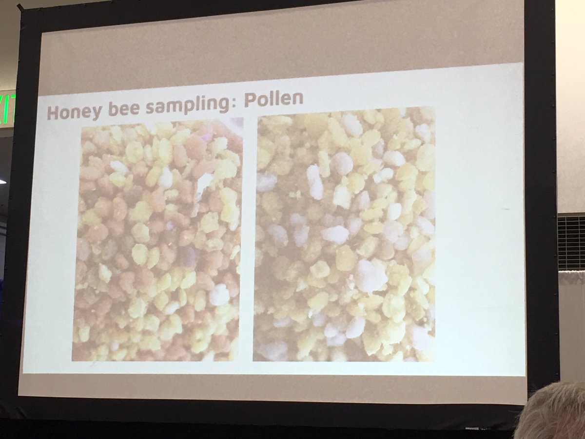 Another <a href="/MAPP_umn/">Minnesota Agriculture for Pollinators Project</a> update from <a href="/MegaKiley/">Kiley Friedrich</a> at <a href="/pheasants4ever/">Pheasants Forever</a> #pheasantsfest honey bee hives make different choices. Pollen from 2 neighboring hives. Not new research but such a wonderful photo!