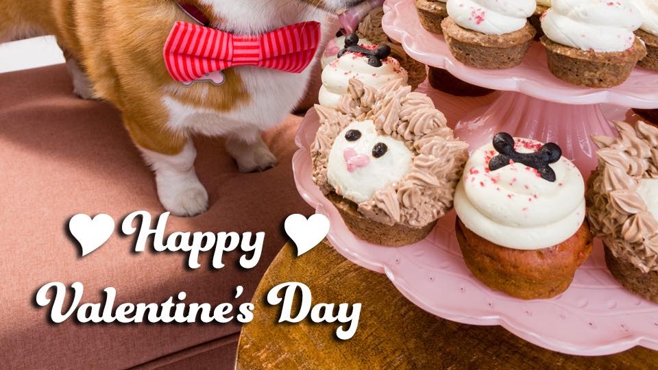 From our family to yours, Happy Valentines Day!