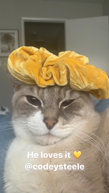 I&rsquo;ve immortalized the king himself Mr. Mushroom @CodeyXXXSteele 💛 https://t.co/AuXYJcGa7w