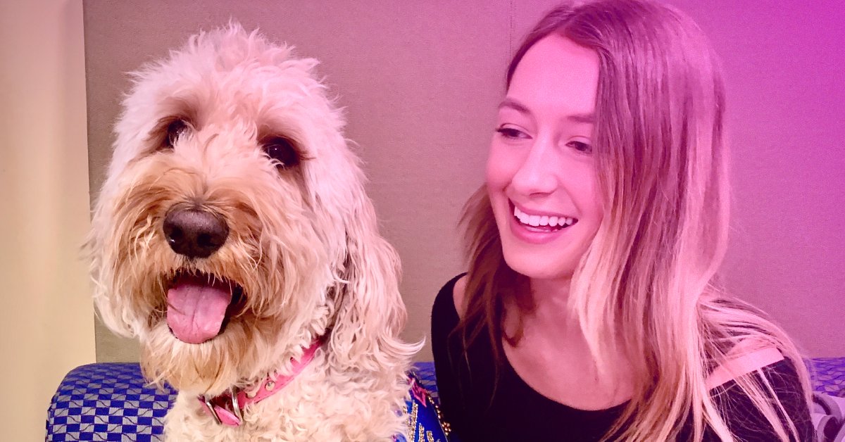 Roses are red, violets are blue, cuddle and pet me, and I will always love you. 💗 Sincerely, <a href="/wvudoodle/">Vivian the Doodle</a>.