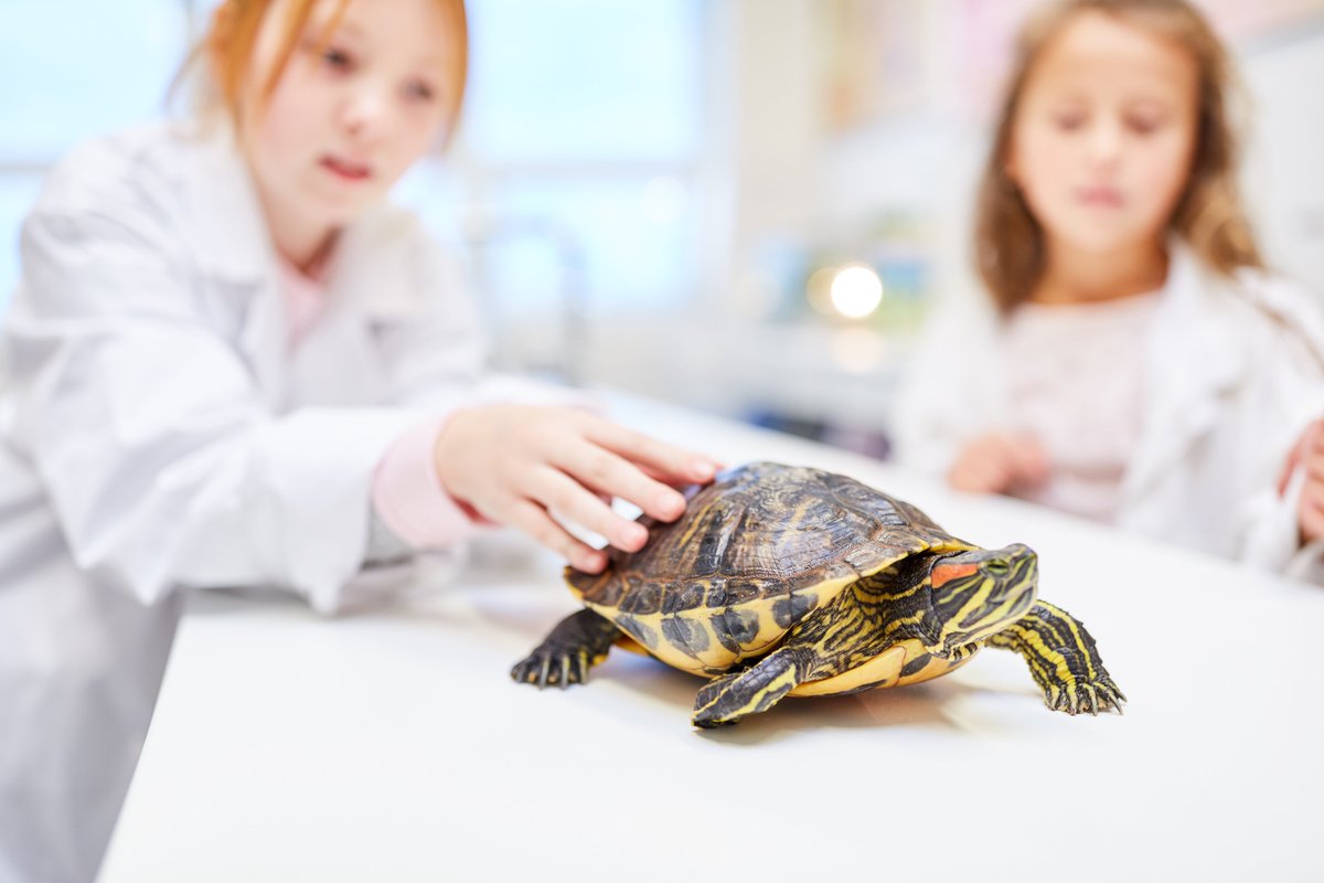 MyFirstLab's tweet photo. You may have heard that My First Lab will be exhibiting at booth 2120 at @ToyFairNY this year. We’re excited to announce the new board game we’ve developed in partnership with @KillerSnails1, and we’ll be demoing the game at our booth!
-
#myfirstlab #STEM #kidscience #tradeshow https://t.co/mNIJbSAtpi