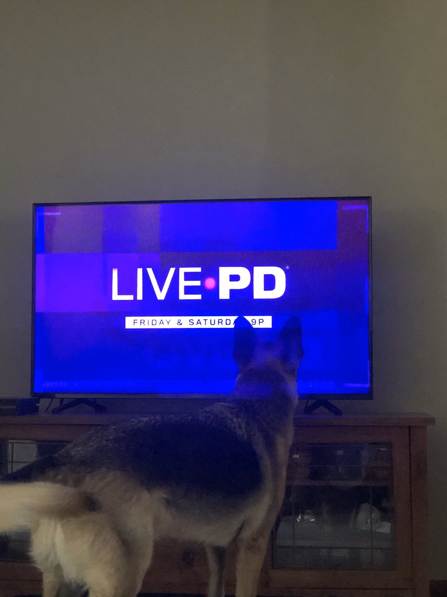 Watching the best show on tv! @JamesCraigmyle @Tpr_James_Casey @OfficialLivePD @LivePdFans @PascoSheriff @addy_pez @TomMorrisJr1