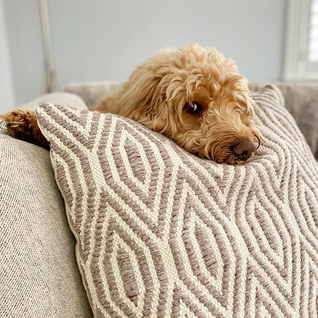 1 degree this morning. One. #toocold #pillowfort #babyitscoldoutside #happyvalentines #happyvday ❤️💗 ift.tt/38vC7sb