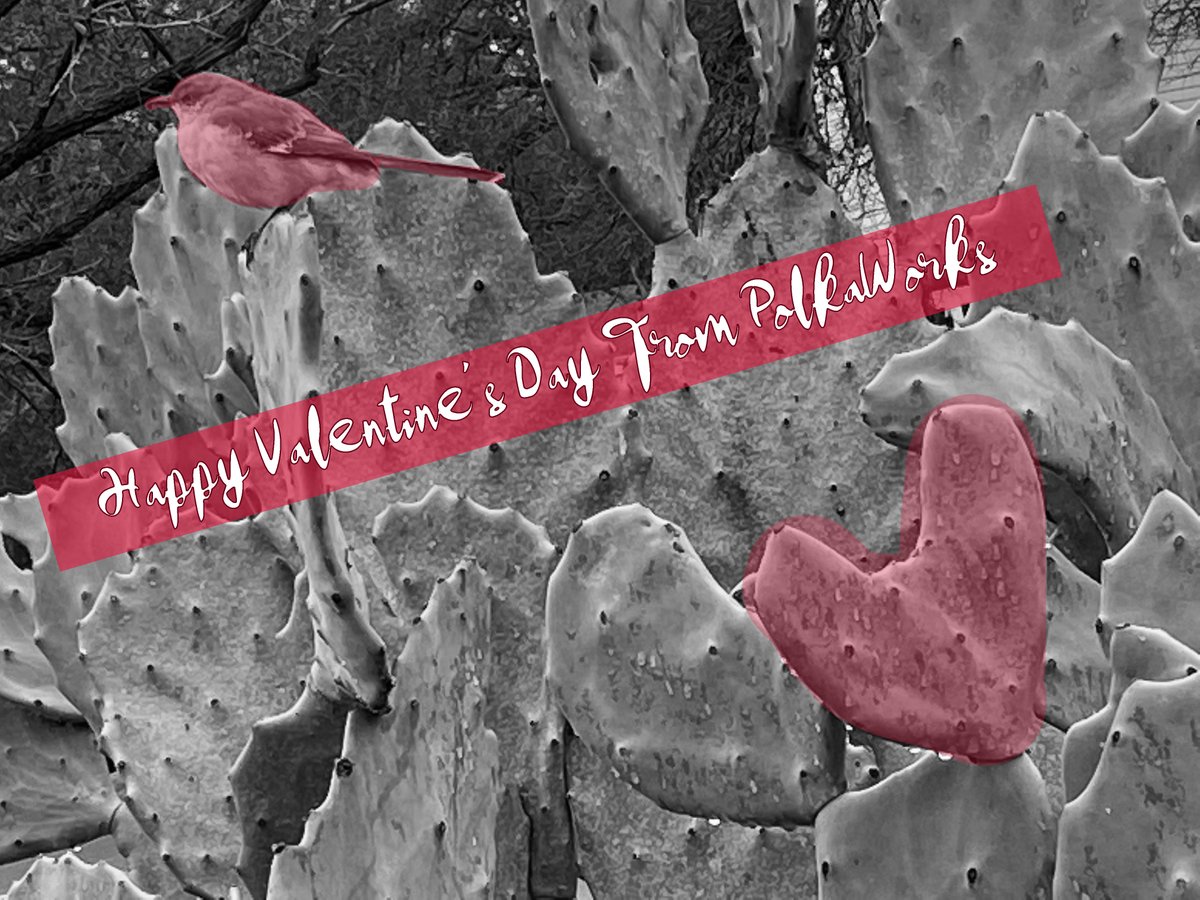 PolkaWorks's tweet image. Valentine’s Day has a very complicated and interesting history. 
Fun Fact: back in the middle ages, people from France and England thought that Valentine's day was the beginning of mating season for birds. 
To all you love birds out there: What’s your Valentine’s Day tradition?